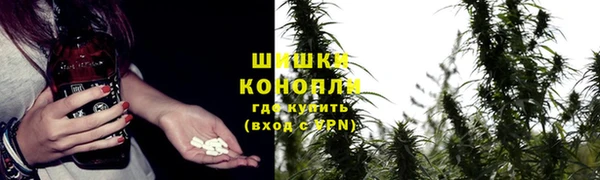 ПСИЛОЦИБИНОВЫЕ ГРИБЫ Алексеевка