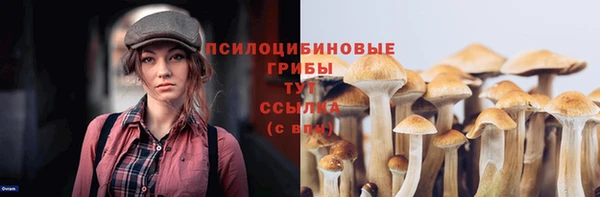 ПСИЛОЦИБИНОВЫЕ ГРИБЫ Алексеевка