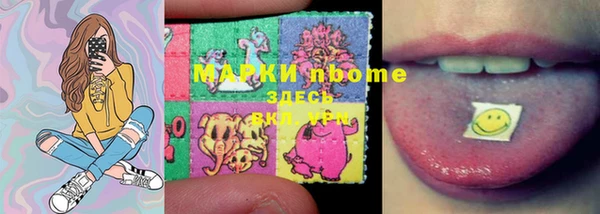 тгк Алексин