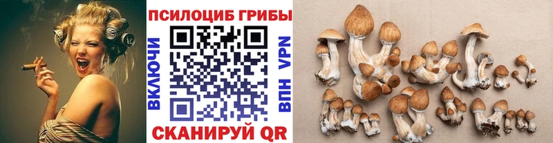 что такое маркетплейс состав Псилоцибиновые грибы ЛСД Арск